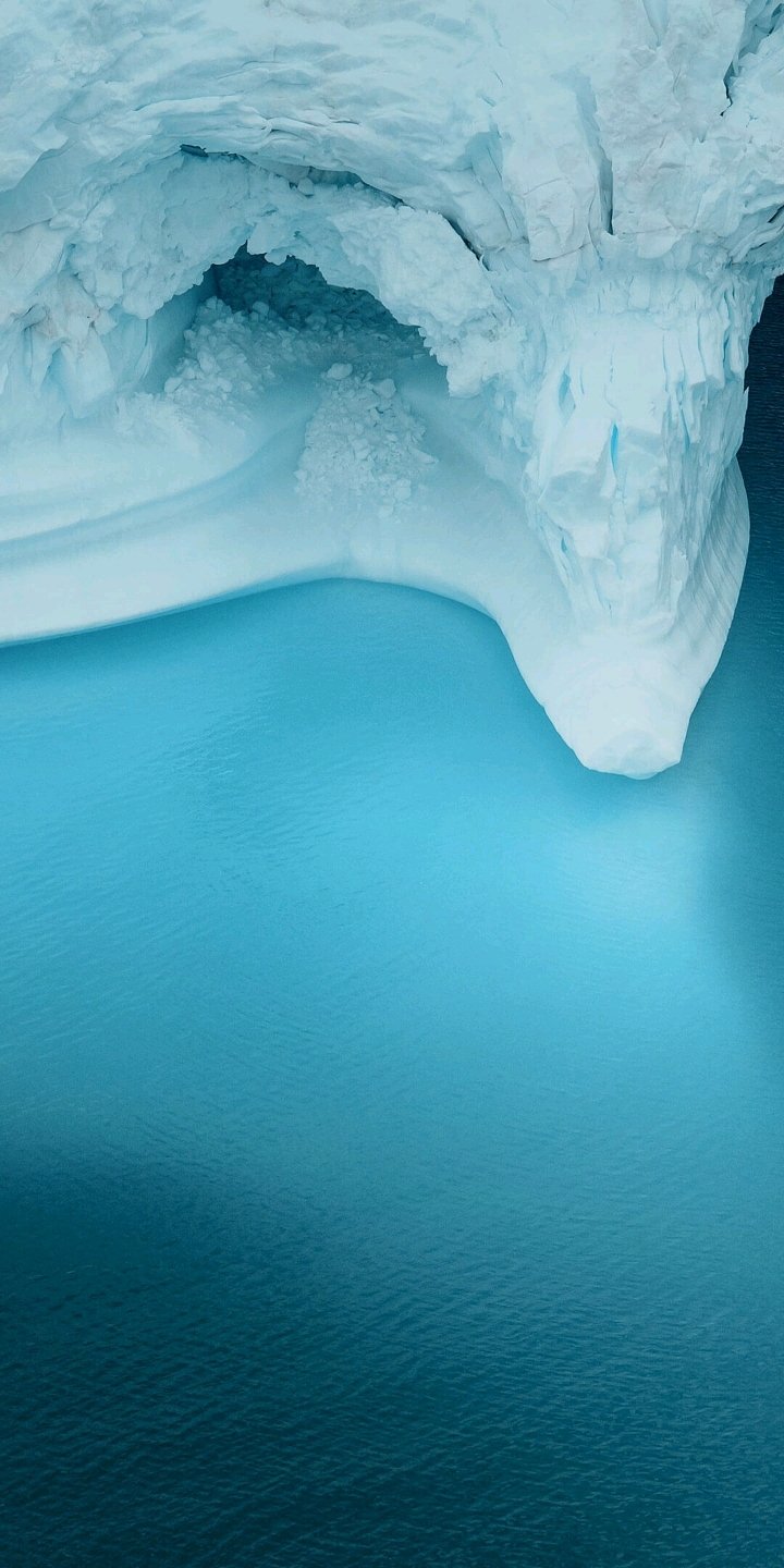 发广告 - 华为p9系列 花粉俱乐部